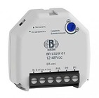 Светорегулятор для светодиодных ламп 12-48 В — Bironi